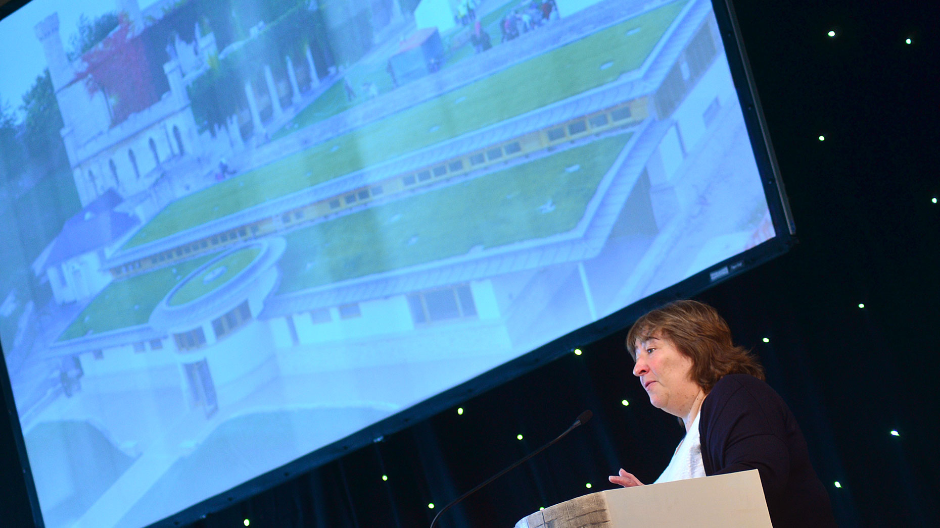 Tourism Development Manager at Lincolnshire County Council Mary Powell. Photo: Steve Smailes for The Lincolnite