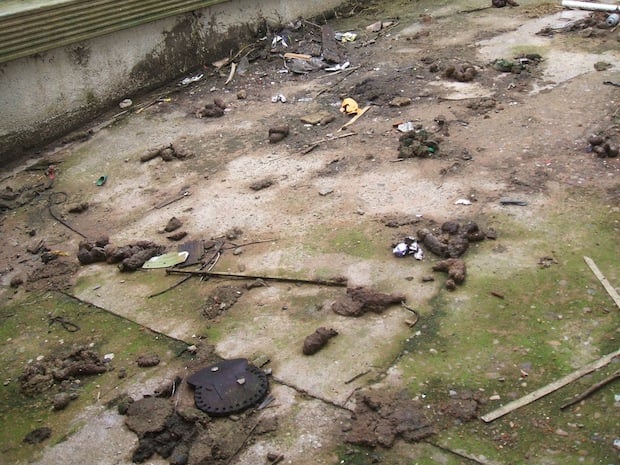 The mess found within Purdey's garden.
