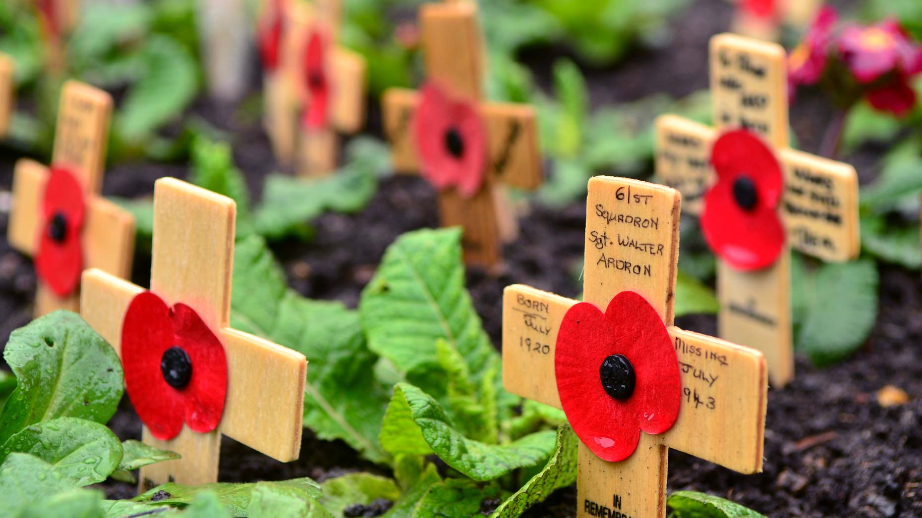 Your guide to Remembrance Day events across Lincolnshire