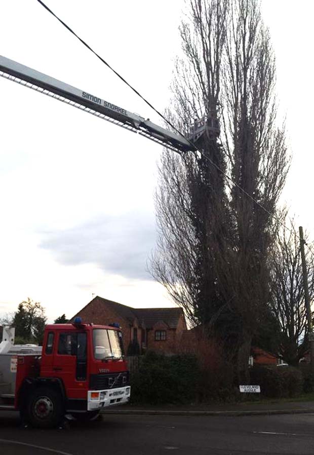 Crews from North Hyekham and a hydraulic platform from Lincoln South attended the cat rescue. Photo: Natalie Davison