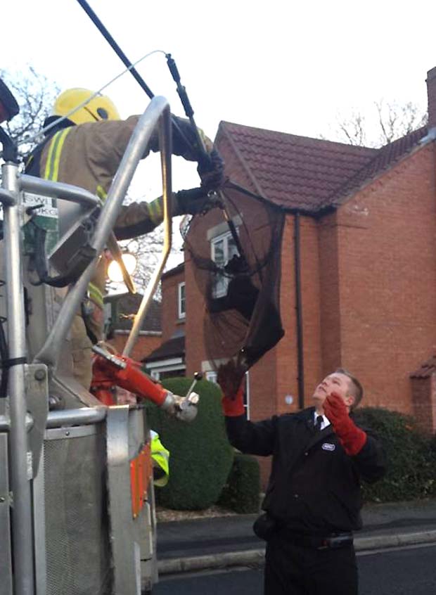 The black cat was reunited with its owners after firefighters and RSPCA helped rescue it. Photo: Natalie Davison