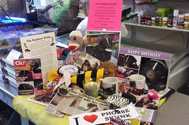 A memorial has been set up in the pet shop for people to leave messages. 