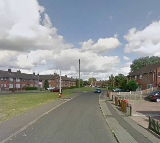 Police discovered a collection of 40 cannabis plants at a property on Cotman Road in Lincoln. Photo: Google Street View