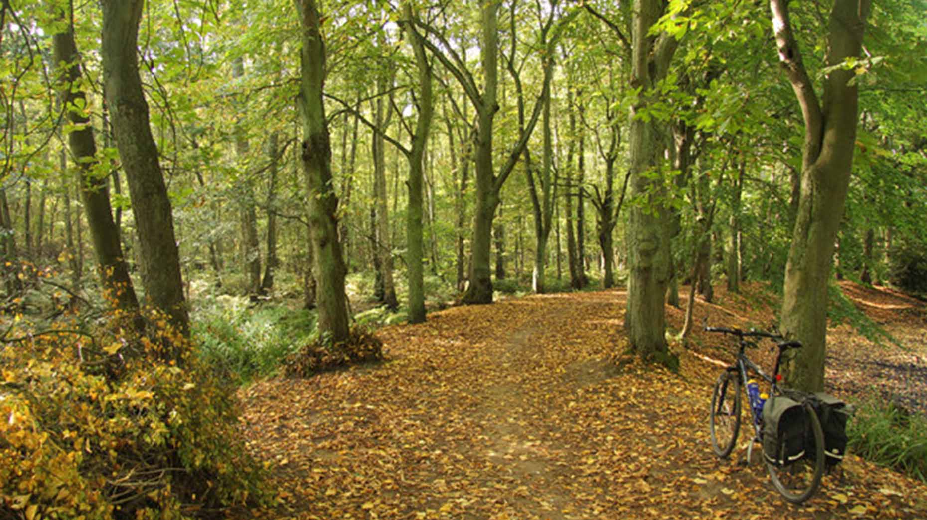 Hartsholme Park in Lincoln. Photo: Richard Croft