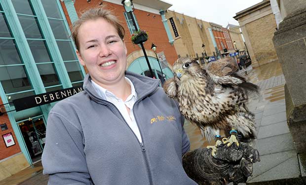 Holly Raper from East Riding Pest Control with her Greysker Falcon.
