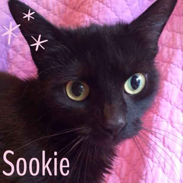 Sookie