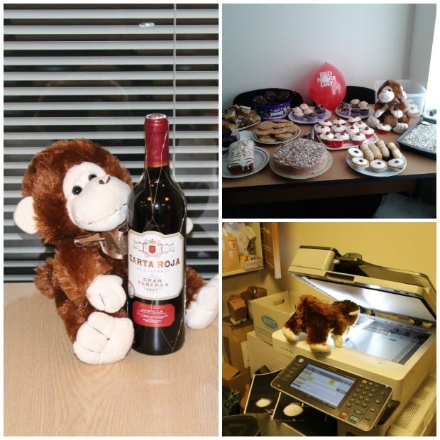 Letting agents Hodgeson Elkington held a raffle with prizes donated by staff and raised £155.50 for Comic Relief! The star of the show was a mischievous monkey. 