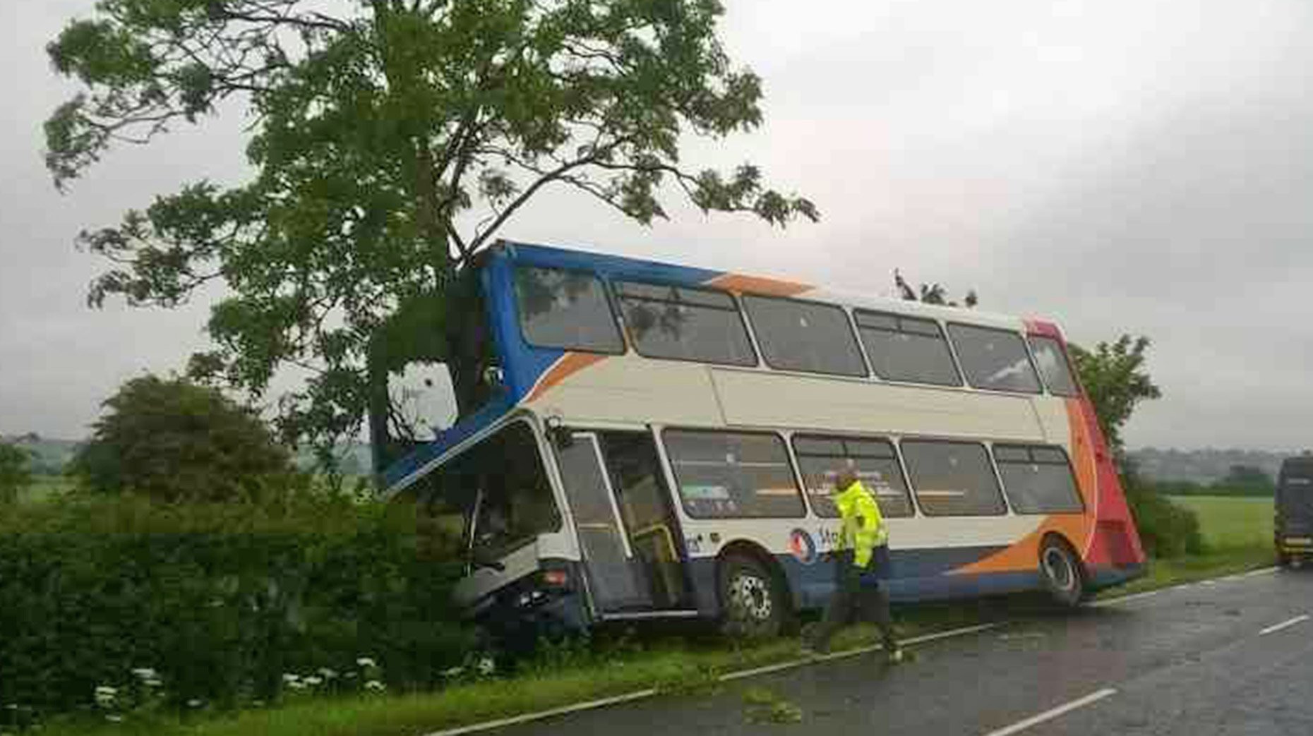 The bus veered off the road and into a tree, which was lodged into the front section. 