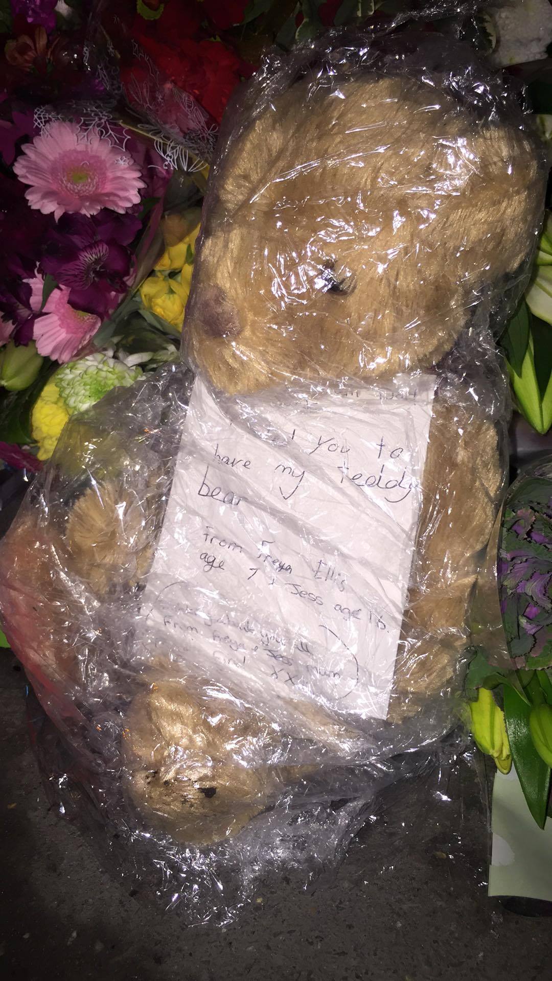 "To Tom's Mum and Dad and Jack, I wanted you to have my teddy bear, from Freya Ellis age 7 and Jess aged 16."