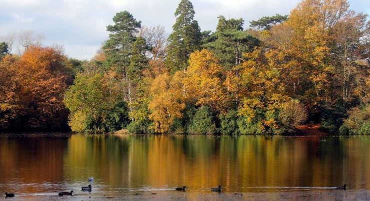 hartsholme-country-park