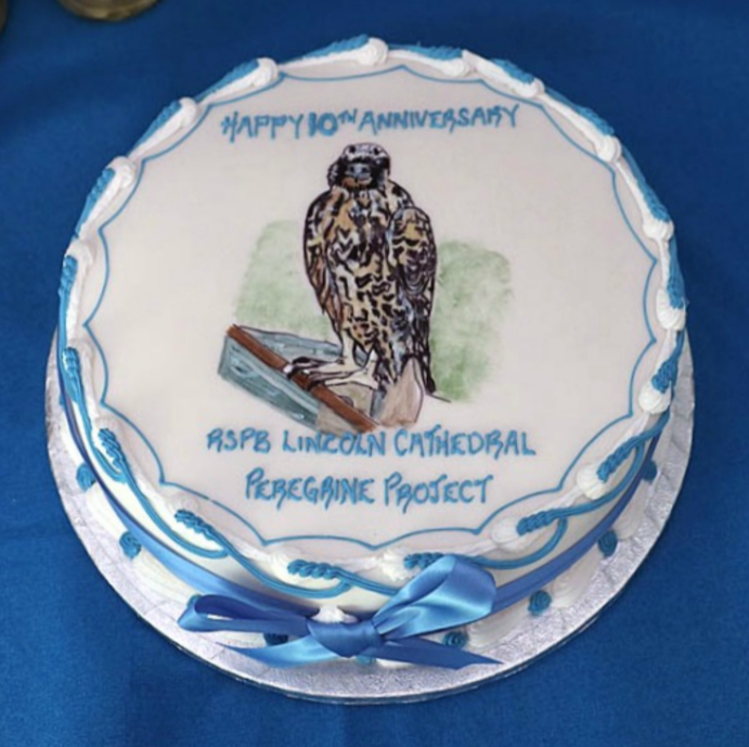 The volunteers celebrated the project's 10th anniversary with a very special slice of cake. 