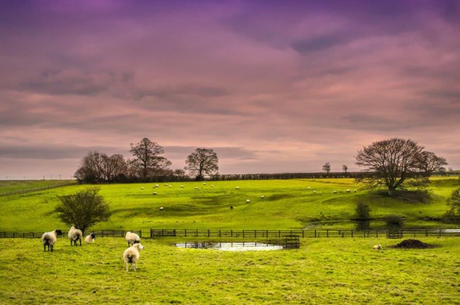 Lincolnshire Wolds: 50 years as an Area of Outstanding Natural Beauty