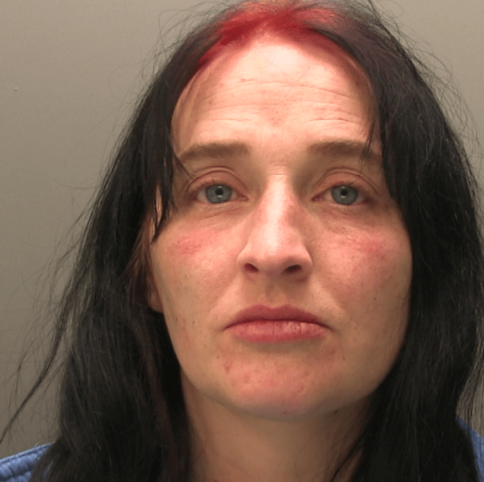 Found Appeal To Find Missing Woman 33 4260