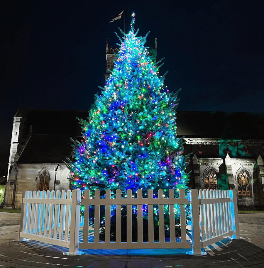 Police appeal after Grimsby Christmas tree damaged