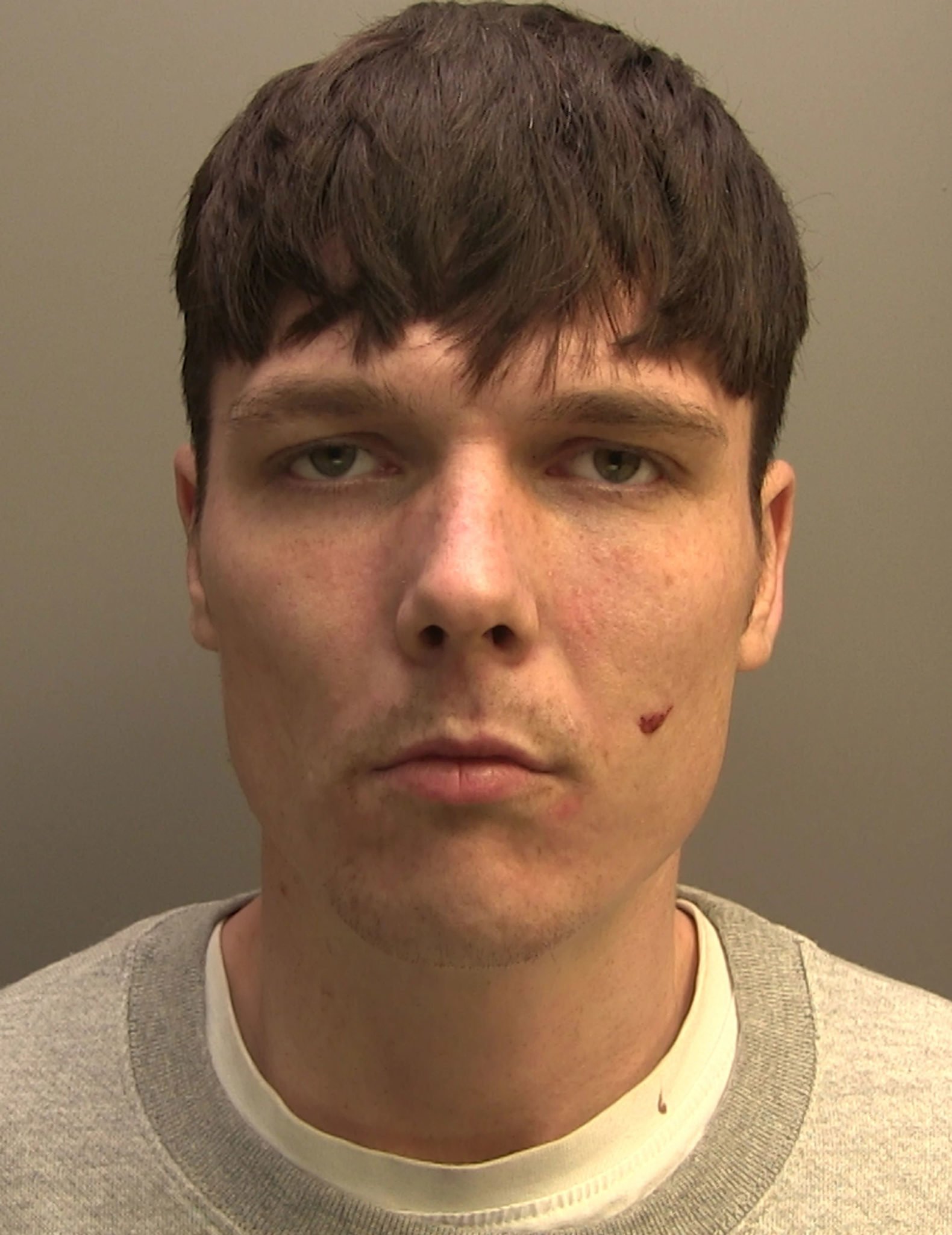 Scott Rowen, 29, previously of Glentworth Crescent in Skegness, was sentenced for manslaughter after admitting responsibility for killing Jordan Siree more than a year ago.