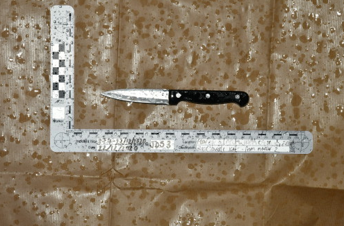 Pictured is the weapon used in the killing of Jordan Siree