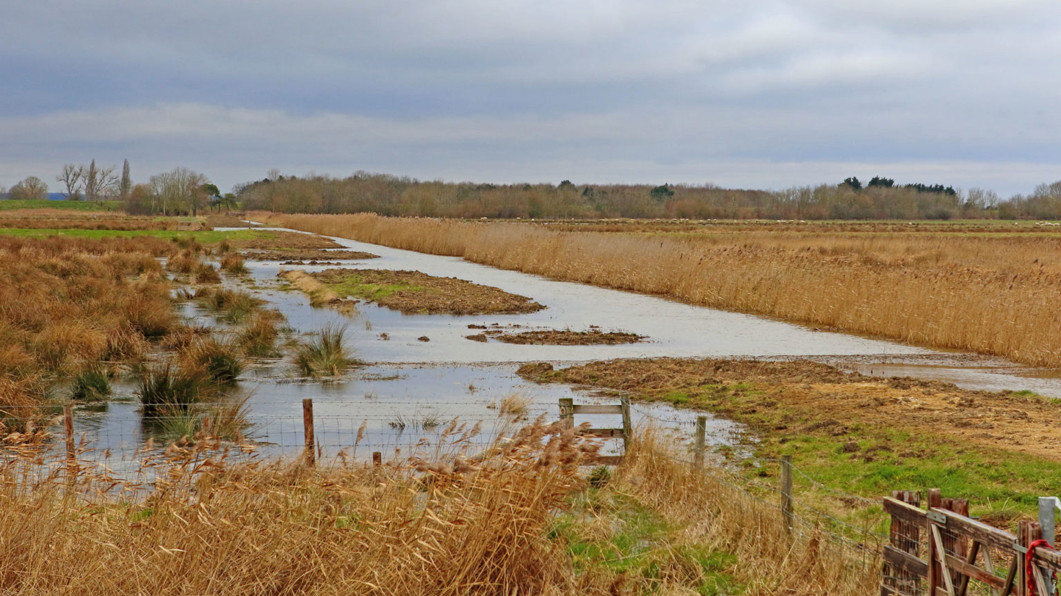 New viewing area open at Lincolnshire nature reserve