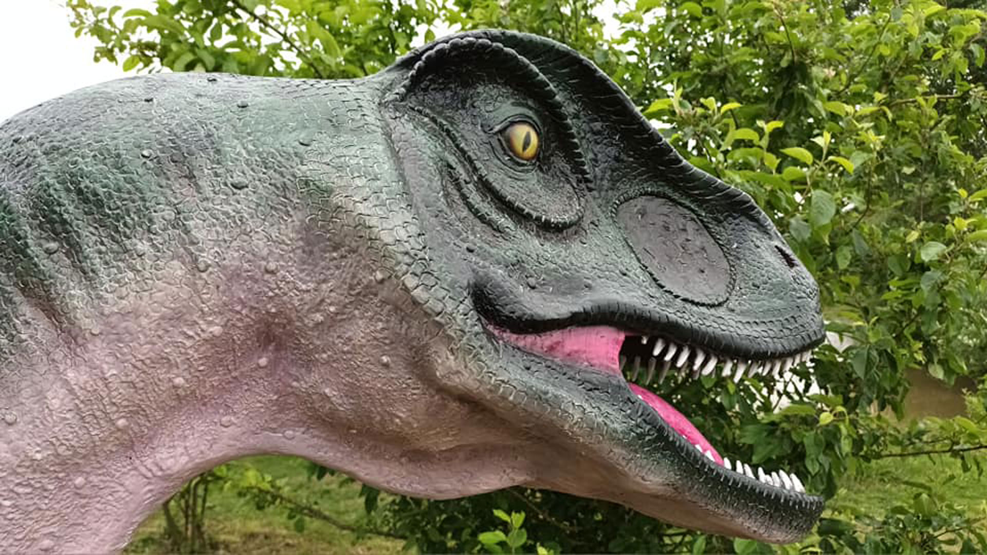 New 'Jurassic Ark' attraction open at wildlife park in Lincolnshire