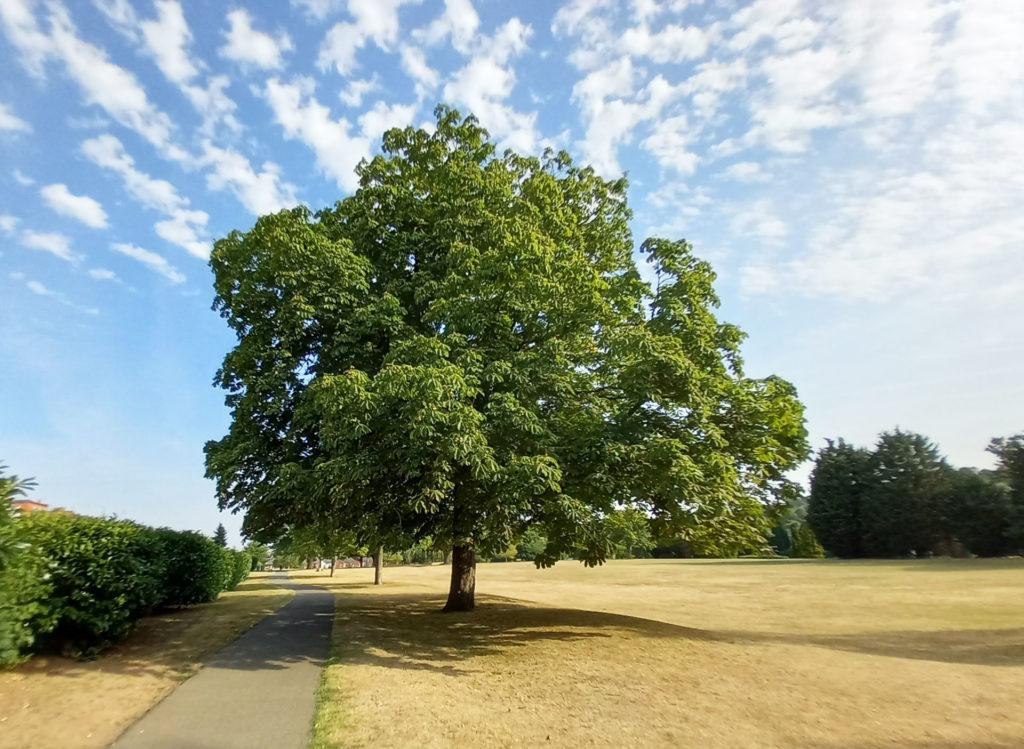 All three Grantham parks awarded Green Flags and rated among best in ...