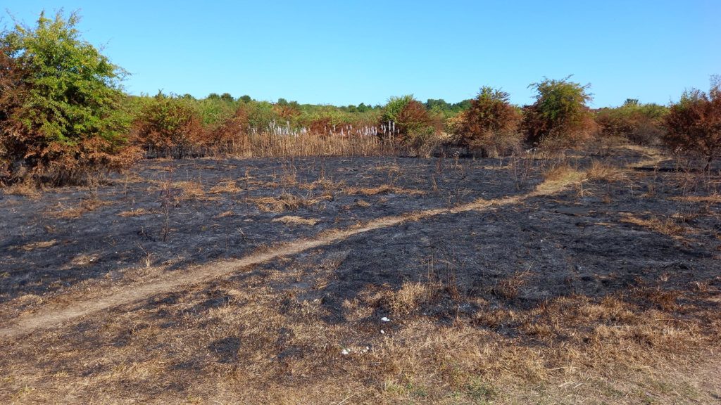 Lincolnshire wildfires increase by more than 300 in a year