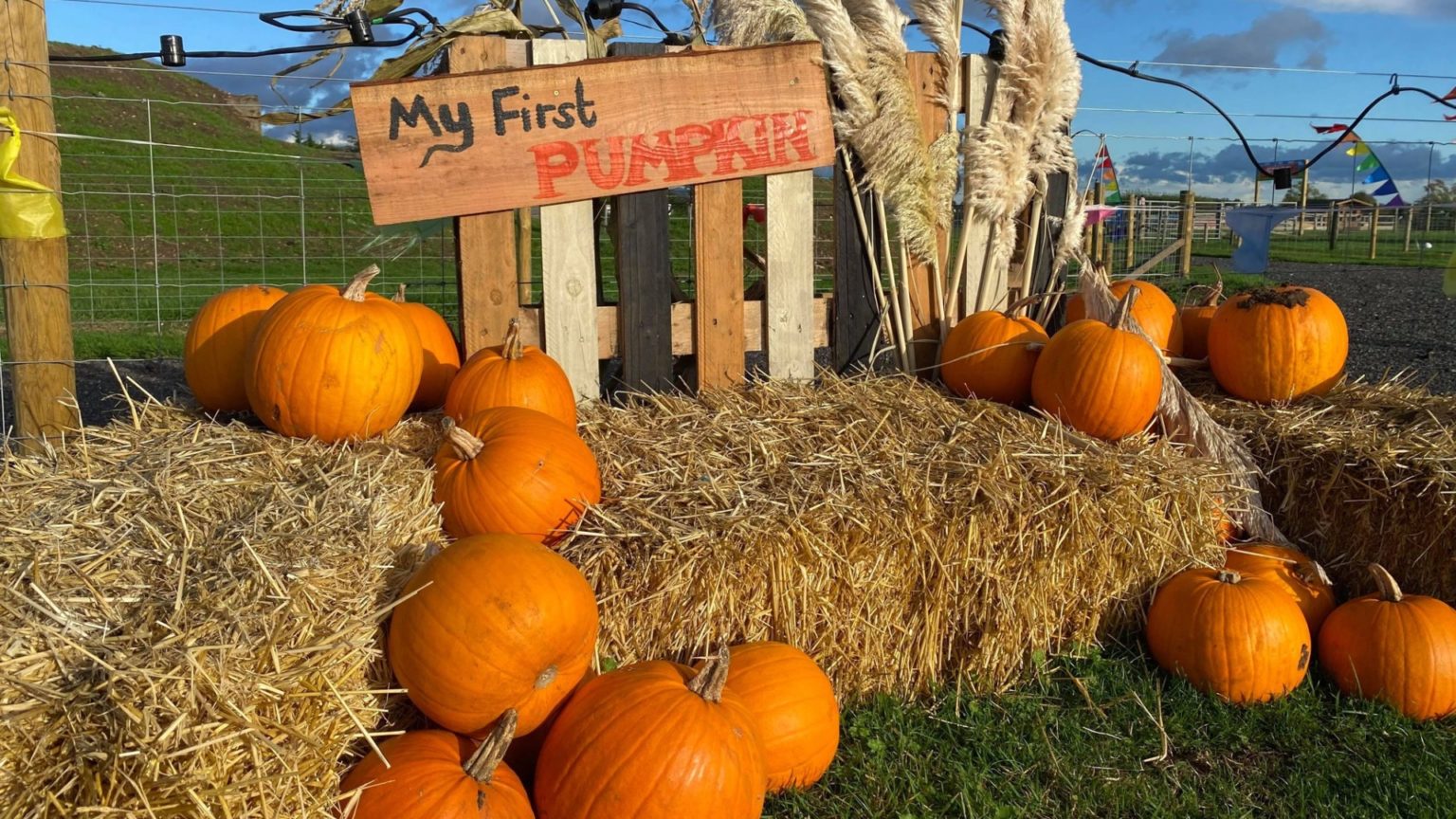 Pumpkin patches to visit in Lincolnshire this October