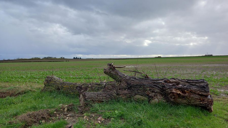 'Too much speculation, not enough facts' on Lincolnshire reservoir