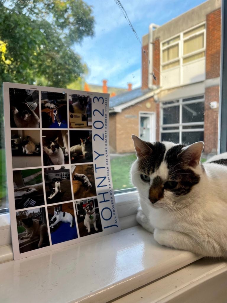 Campus cat's purr-fect calendar raises over £500 for charity