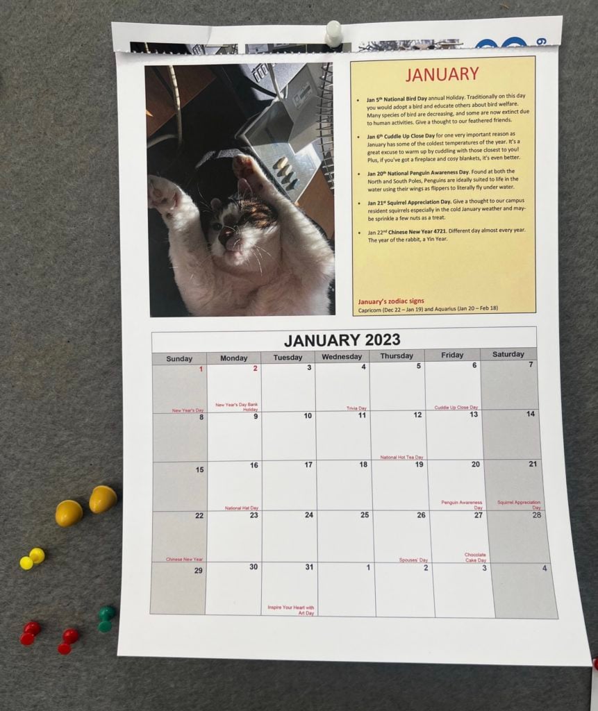 Campus cat's purr-fect calendar raises over £500 for charity