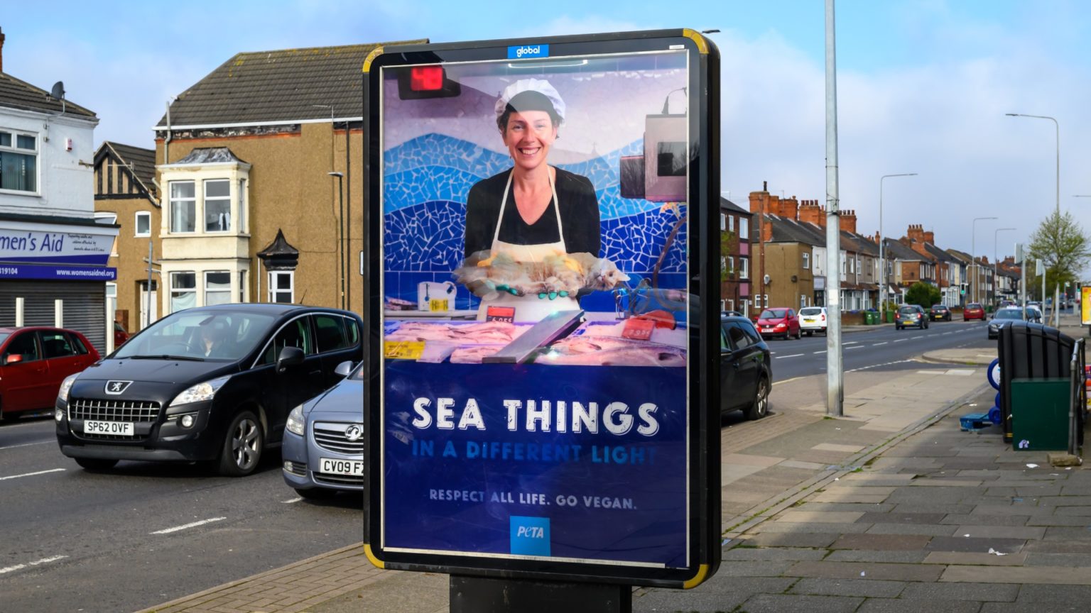 Cleethorpes PETA Ad Compares Eating Fish To 'eating A Cat'